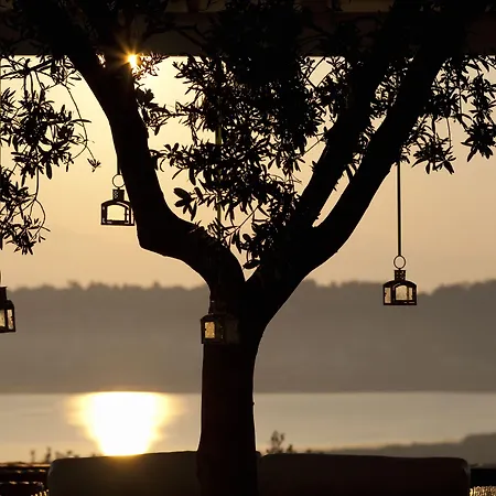 The Editor's - Member Of Spiritual Living Corfu * Virós